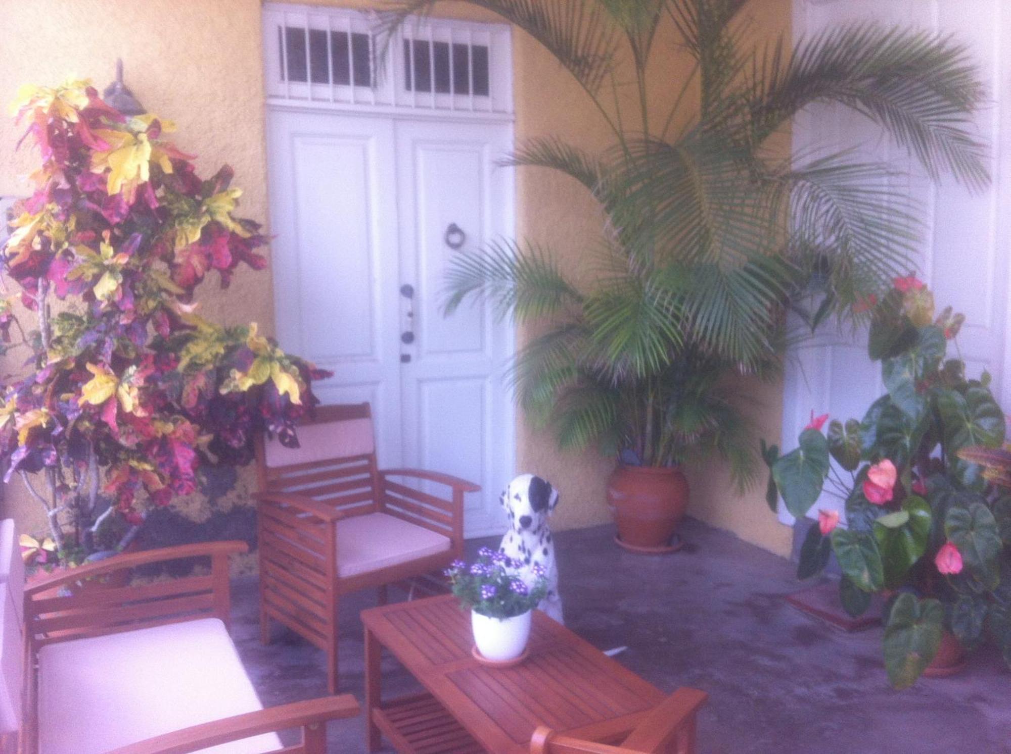 Atlantic Views Apartment Punta Del Hidalgo Exterior photo